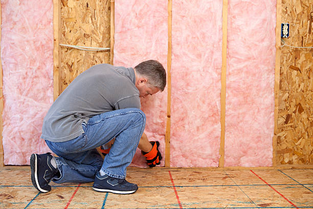 Best Cellulose Insulation in Minonk, IL