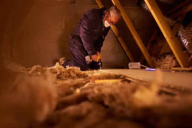 Best Specialized Insulation Services in Minonk, IL