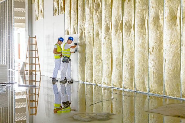 Best Geographic-Specific Insulation Services in Minonk, IL